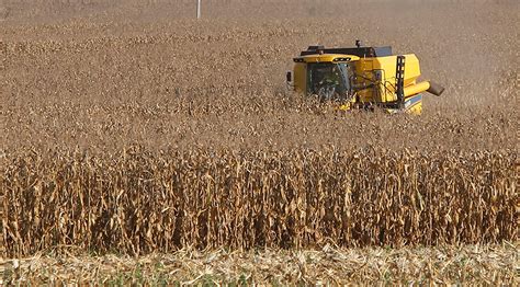 June Estimate For Shows Record Harvest Of Million Tonnes