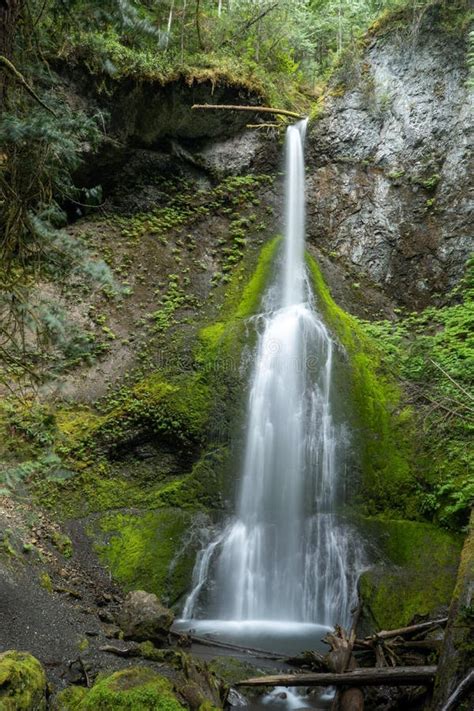 Waterfall In Olympic National Park On The Olympic Peninsula Washington