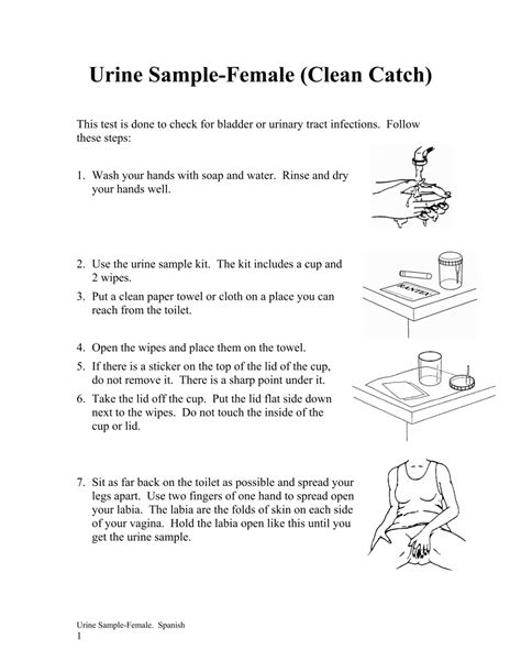 Urine Sample Female Clean Catch The Exchange