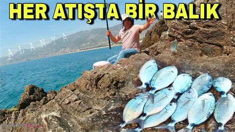 Her Ati Ta B R Balik Alanya Damlata Balik Kayniyor Resmen