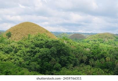 427 Carmen Bohol Royalty-Free Photos and Stock Images | Shutterstock