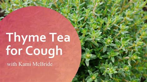 How To Make Thyme Tea For Cough Youtube