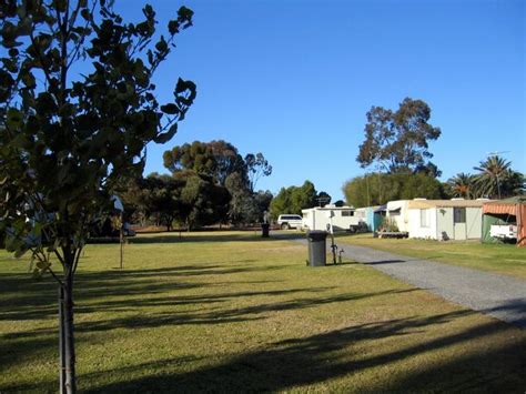 Riverside Caravan Park Robinvale Area For Tents And Camping