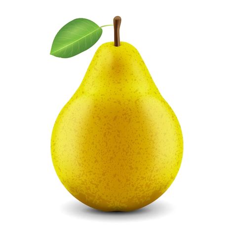 Premium Vector Realistic Fresh Pear On A White Background