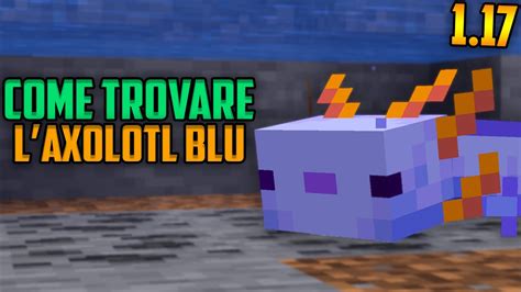 Come Trovare L Axolotl Blu Super Raro In Minecraft Youtube