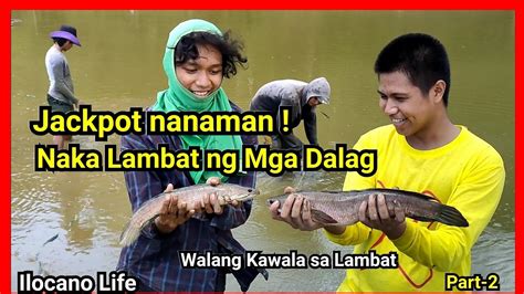 Ep Walang Kawala Ang Mga Dalag At Tilapia Sa Lambat Umuulan Sa