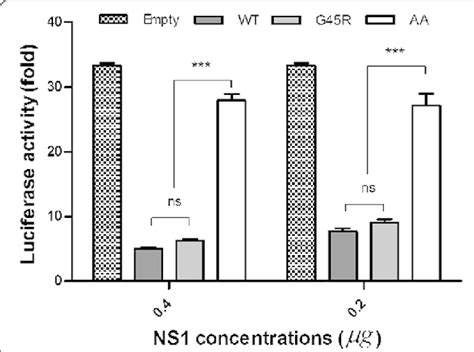 RIG I mediated IFNβ promoter activity in 293 T cells expressing PR8 NS1