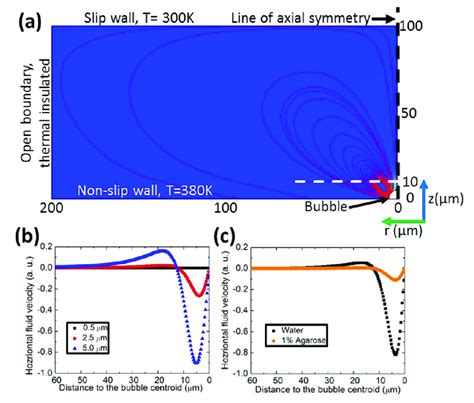 Fig S A Simulation Of The Thermocapillary Flow Around A M Radius