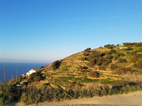 Ikaria Cultural Immersion Experience How To Age Successfully