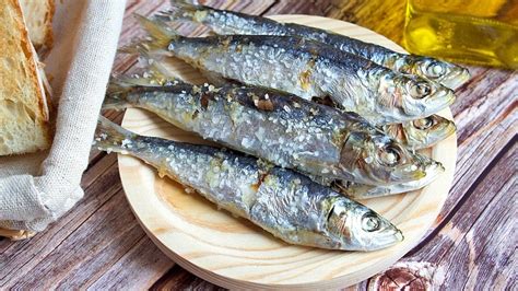 Los Increibles Beneficios Que Comer Sardinas Aporta A Tu Cuerpo Y