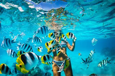 Los Mejores Destinos Para Hacer Snorkel En El Caribe