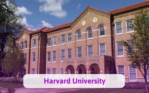 Top Tr Ng I H C Hot Nh T T I N C M