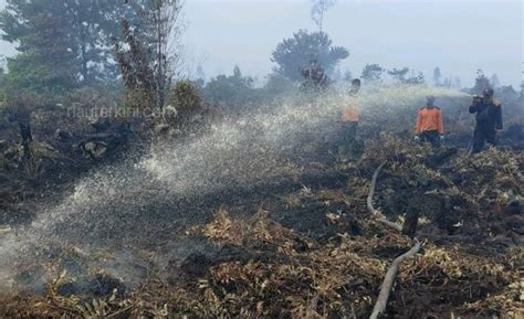 Puluhan Hektar Lahan Gambut Di Pulau Rupat Terbakar