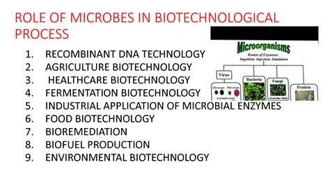 Cyanobacteria: Ancient Microbes With Diverse Ecological Roles And Biotechnological Applications