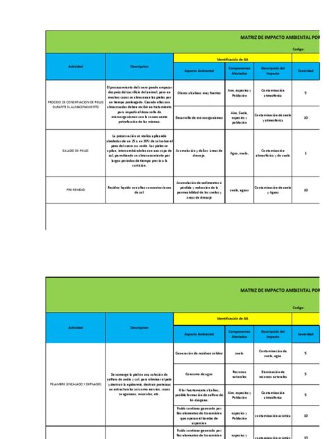 Matriz De Impacto Ambiental Contaminación Degradación Ambiental