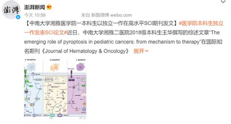 中南大学本科生发23分sci出圈，学术人“中年危机”真的要靠它破局！ 知乎