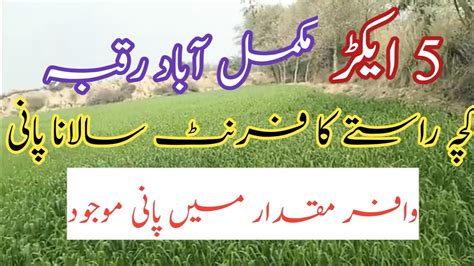 Acre Zaree Zameen Cheap Agriculture Land For Sale In Pakistan