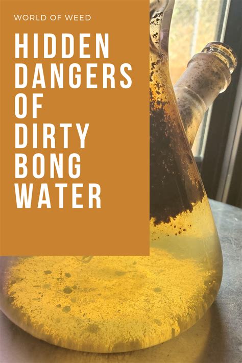 The Hidden Dangers Of Dirty Bong Water World Of Weed