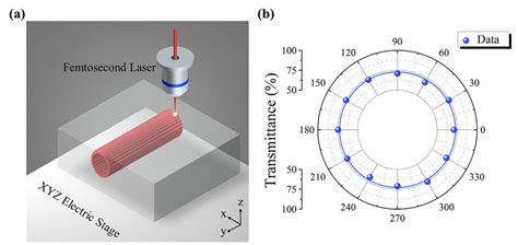 A Schematic Plot Of The Femtosecond Laser Direct Writing Depressed Download Scientific