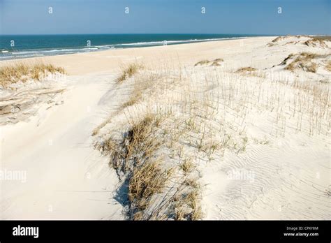 Dunes And Beach Pea Island National Wildlife Refuge Cape Hatteras