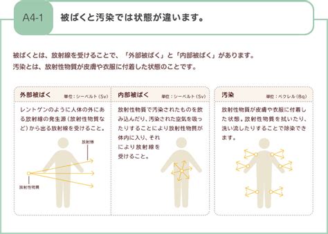 被ばくと汚染では状態が違います（私にもわかるように、説明して！の声に応える 放射線のこと） 北陸電力株式会社