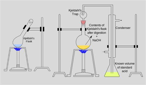 Kjeldahl Method Careers Today