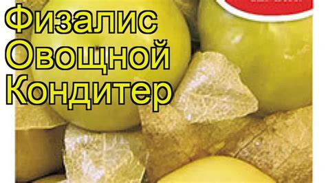 Физалис овощной Кондитер. Краткий обзор, описание характеристик, где ...