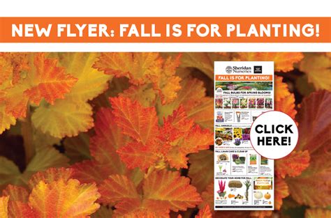 Fall Is For Planting With Our New Fall Flyer