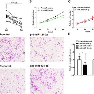 MiR 124 3p Functions As A Tumor Suppressor In Breast Cancer A QRT PCR