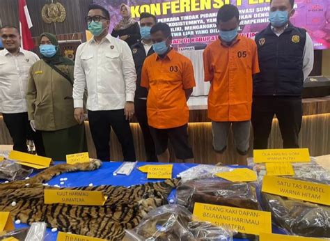 Oknum Pns Dan Petani Di Aceh Timur Ditangkap Saat Akan Jual Kulit