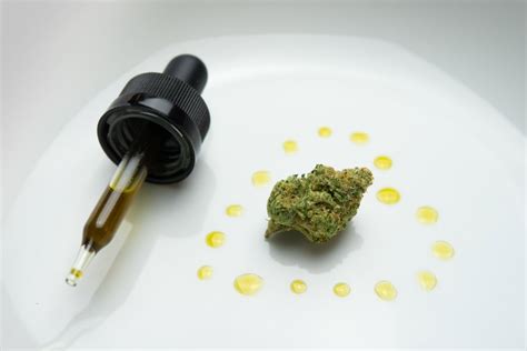 Qu Son Los Concentrados Extractos Y Aceites De Cannabis