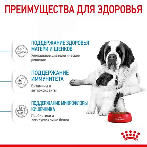 РОЯЛ КАНИН ГИАНТ СТАРТЕР сухой корм для щенков гигантских пород до 2 ...