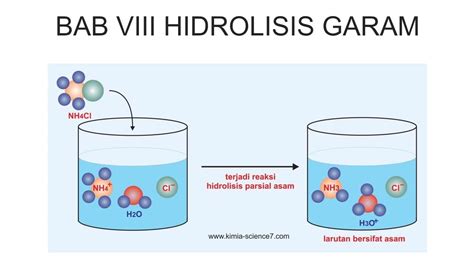IPA KIMIA SMA Kelas XI Bab 8 Hidrolisis Garam Kurikulum Merdeka YouTube