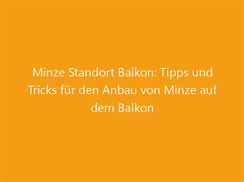 Minze Standort Balkon Tipps und Tricks für den Anbau von Minze auf dem