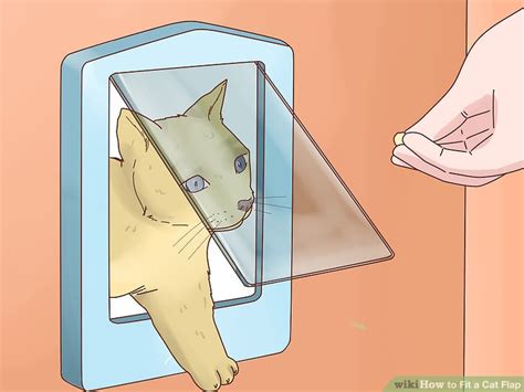 How To Fit A Cat Flap 14 Steps With Pictures Wikihow