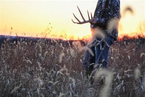 Whitetail Deer Shed Hunting Heartland Lodge