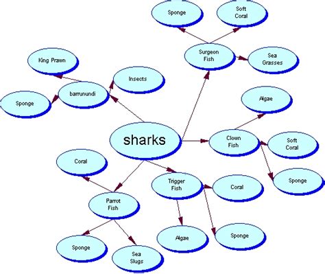 Coral Reef Food Web