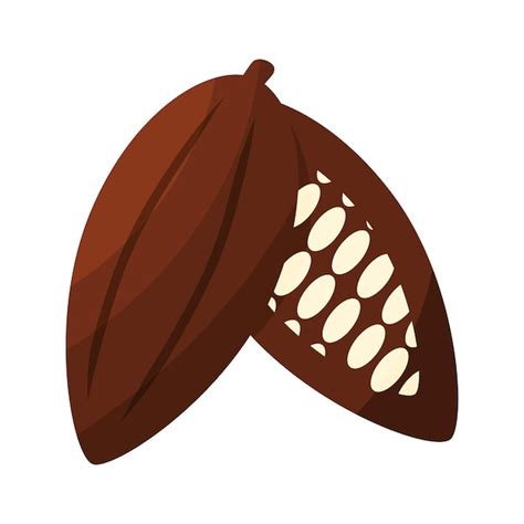 Premium Vector | Cocoa bean plant fruit chocolate day element