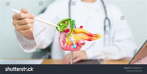 359 Doctor Stomach Acute Images Stock Photos Vectors Shutterstock