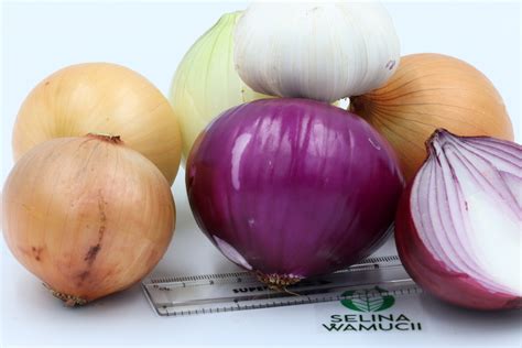 Kenya Onions Suppliers Exporters Exporters Suppliers Good