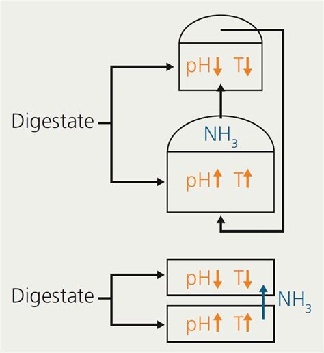 Current Research Efficient Fertilization Adapted Nitrogen Contents In