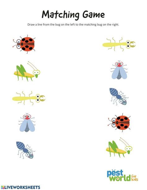 Insects Matching Worksheet Live Worksheets