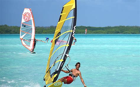 Bonaire Activities These 10 Activities Are A Must Do And See Bamboo