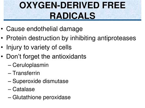 Ppt Chemical Mediators Of Inflammation Powerpoint Presentation Free