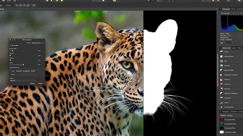 Affinity Photo Tout Savoir Sur Ce Logiciel De Retouche Photo WKS