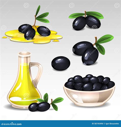 Black Olives Set Stock Vector Illustration Of Summer 58745496