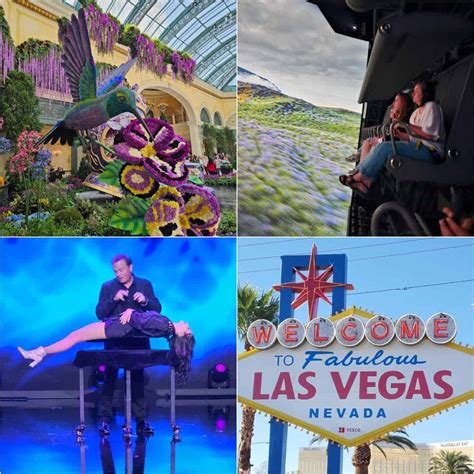 Unique Things To Do In Las Vegas 2024 Tammilee Tips