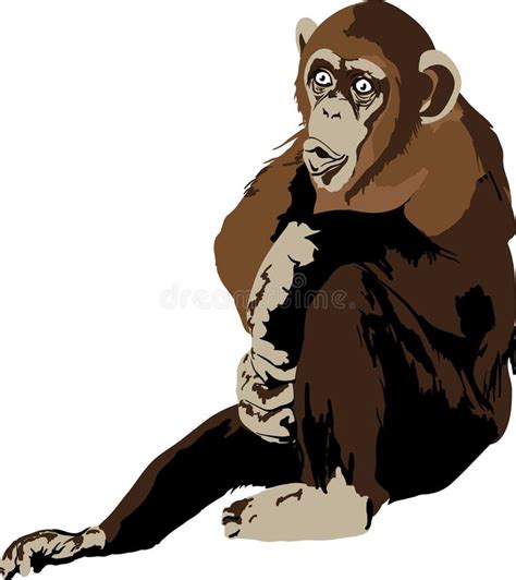 Chimpanzee Stock Illustrations Chimpanzee Stock Illustrations