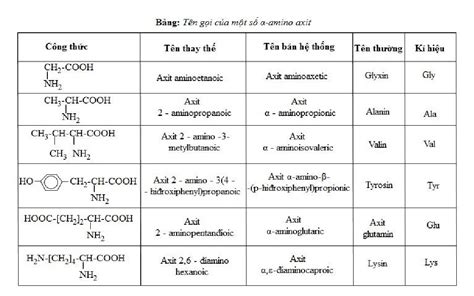 AMINO AXIT LÀ GÌ CẤU TẠO TÍNH CHẤT VÀ ỨNG DỤNG CỦA AMINO AXIT