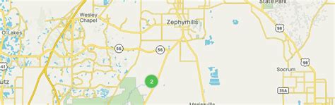 Best Views Trails in Zephyrhills | AllTrails